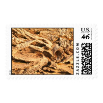 Driftwood Stamp