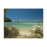 Driftwood Postcard