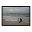 Driftwood posters by srwatts Driftwood posters