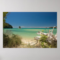 Driftwood Posters