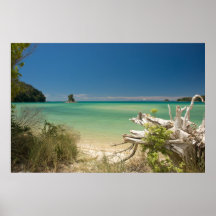 Driftwood Posters