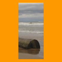 Driftwood rack cards