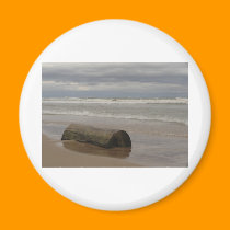 Driftwood magnets