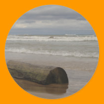Driftwood stickers