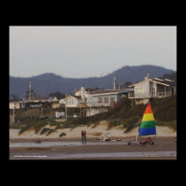 Driftwood Shores posters