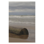 Driftwood Stationery