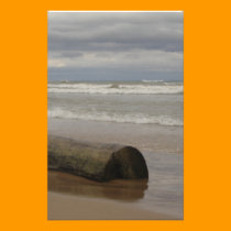 Driftwood stationery