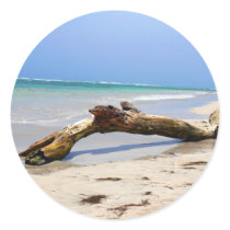 Driftwood Stickers