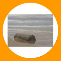 Driftwood stickers