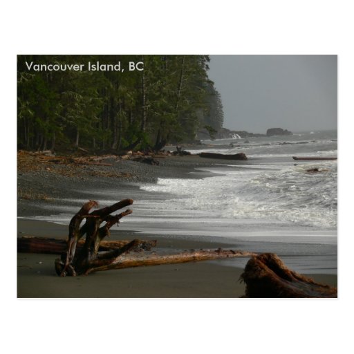Driftwood Vancouver Island, BC Post Card