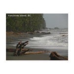 Driftwood Vancouver Island, BC postcard