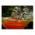 butterflies, drinking, butterfly palace, nature,