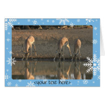 drinking, border6, <your text here> cards by ematson drinking, border6, <your text here> cards