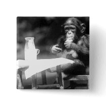 Drinking Chimpanzee Vintage National Zoo Pin