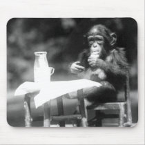 Drinking Chimpanzee Vintage National Zoo Mousepads