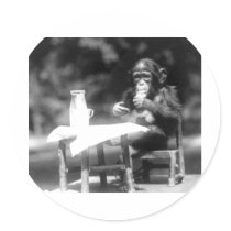 Drinking Chimpanzee Vintage National Zoo Sticker