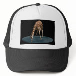 DRINKING THE MOON MESH HAT