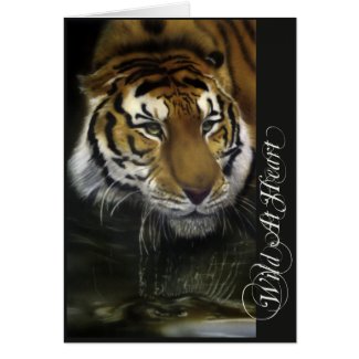 Drinking Tiger 