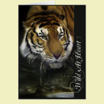 Drinking Tiger cards