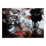 Drip Drip Card