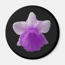Dripping Daffodil Purple Magnet