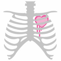 Dripping Heart in Ribcage photo sculptures by doonidesigns Dripping Heart in Ribcage photo sculptures