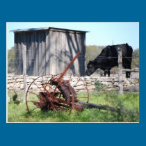 Dripping Springs Postcard postcards