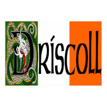 Driscoll Celtic Dragon Print