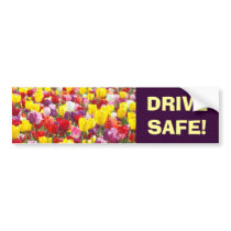 DRIVE SAFE bumper stickers Tulip Flowers