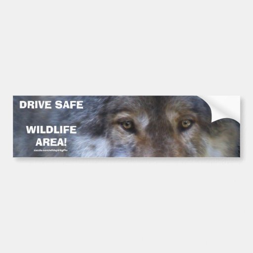 DRIVE SAFE WILDLIFE GREY WOLF Bumper Sticker Zazzle