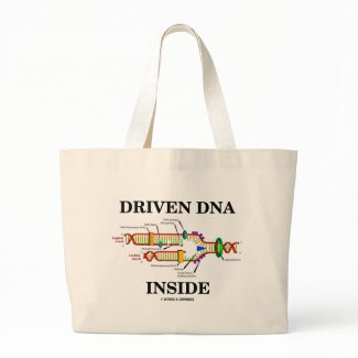 Driven DNA Inside (DNA Replication) bag