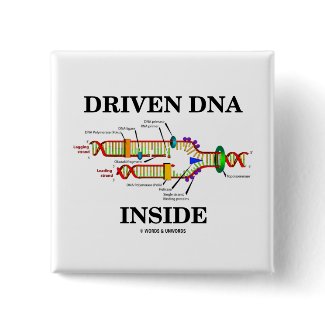 Driven DNA Inside (DNA Replication) button