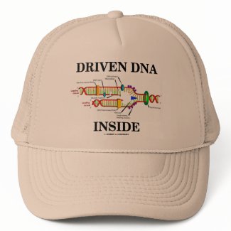 Driven DNA Inside (DNA Replication) hat