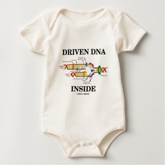 Driven DNA Inside (DNA Replication)