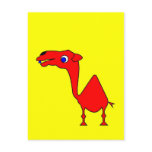 Dromedary Post Card