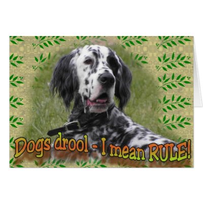 drool or RULE Greeting Cards by eDaMour
