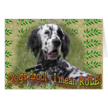 drool or RULE cards
