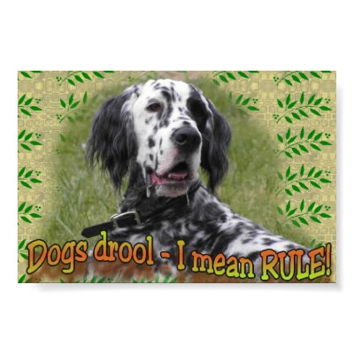 drool or RULE Poster by eDaMour
