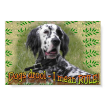 drool or RULE posters