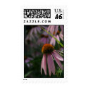 Drooping Petals postage