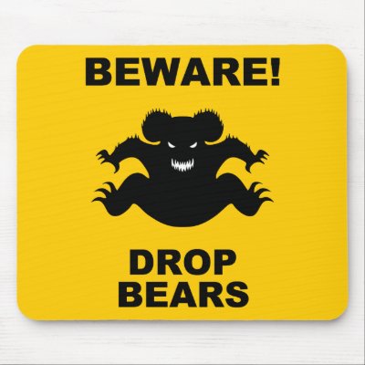 http://rlv.zcache.com/drop_bears_mousepad-p144223513651677808envq7_400.jpg