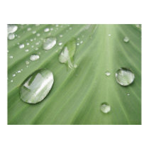 Drop by Drop posters by patrickrp Drop by Drop posters