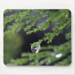 drop mousepads