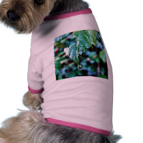 Drop Of Rain pet clothing by lifesphere Drop Of Rain pet clothing