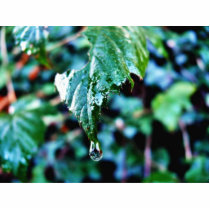 Drop Of Rain photo sculptures by lifesphere Drop Of Rain photo sculptures