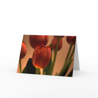 Drop of Sun Card by jrabnberk