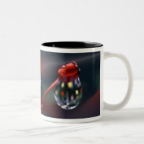 Drop On Bud mugs