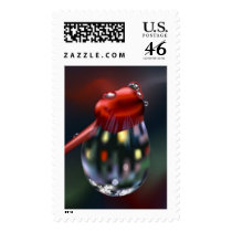 Drop On Bud postage