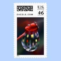 Drop On Bud stamps