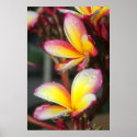 Drop posters